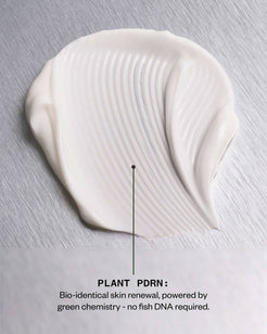 AGE CONFIDENCE PDRN Revival Moisturiser