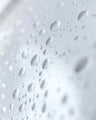 Century Flower Hyaluronic Acid Barrier Defence Mist