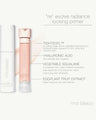 ReEvolve Radiance Locking Primer