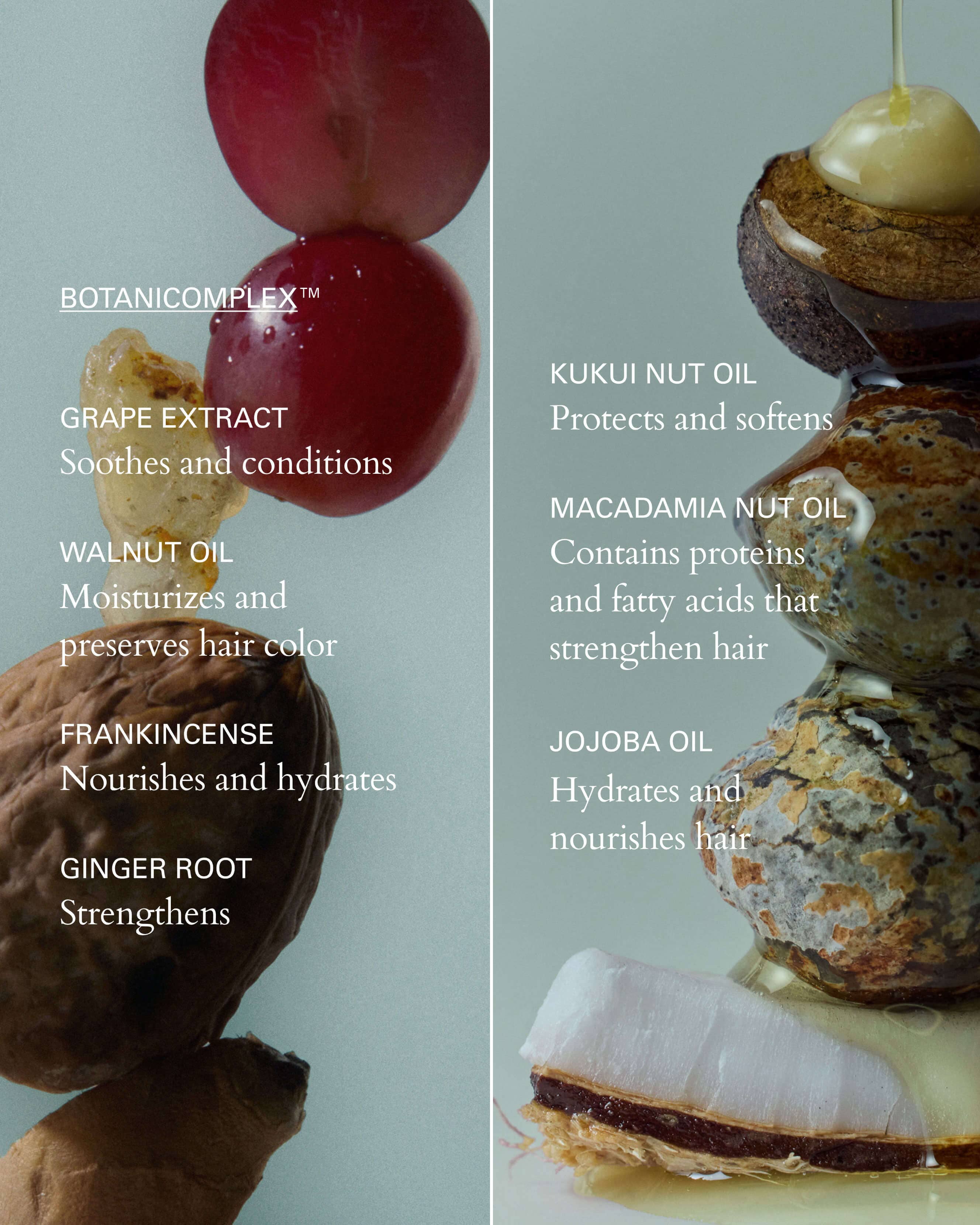 Healthy Hair and Scalp Kit