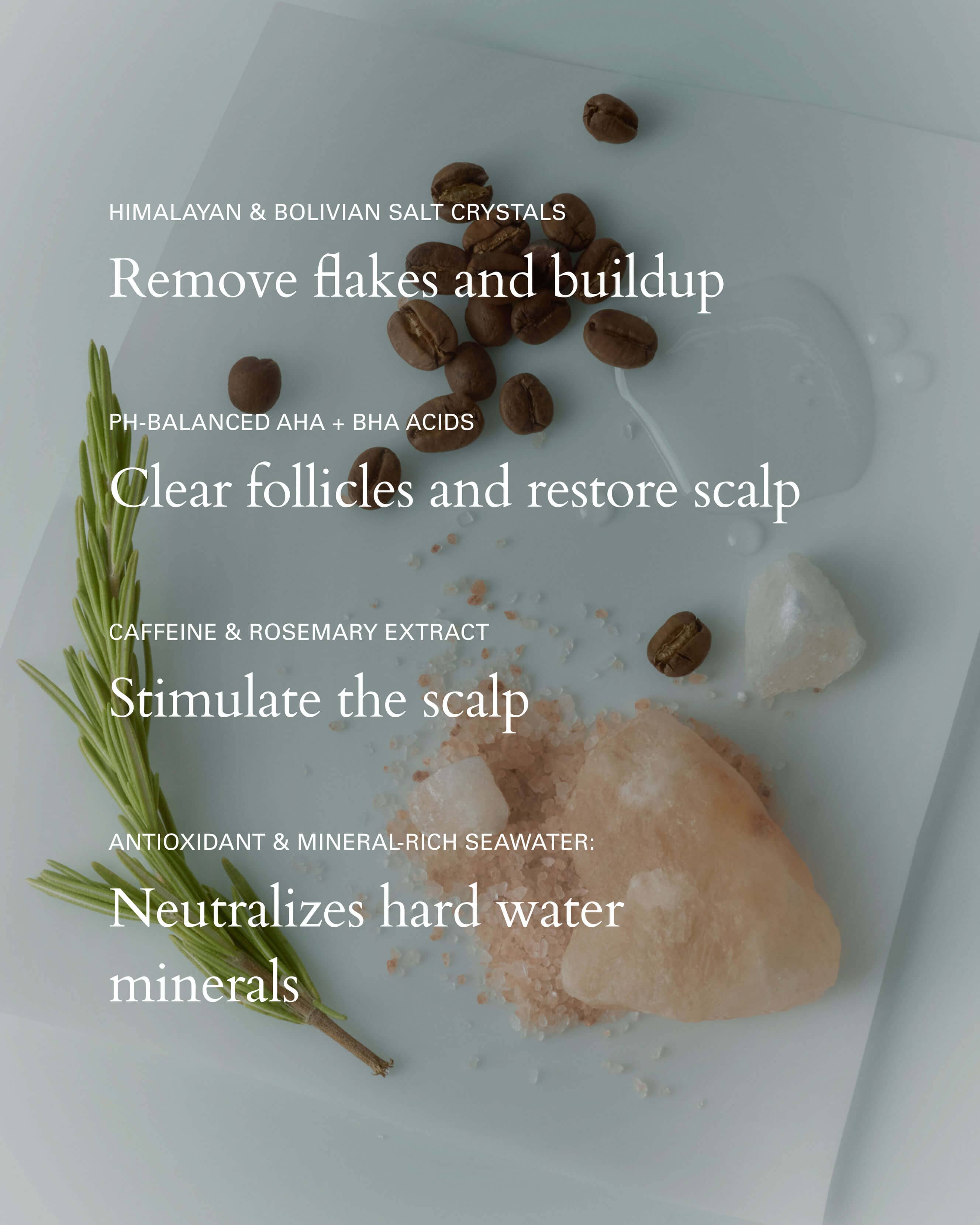 Salt Scalp Scrub