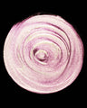 Celestial Sphere Gelée Eye Gloss