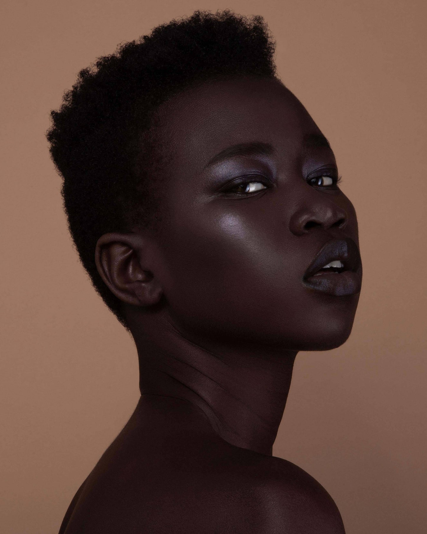 Eclipse (black aubergine)