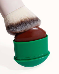mink (chocolate brown with deep undertones)
