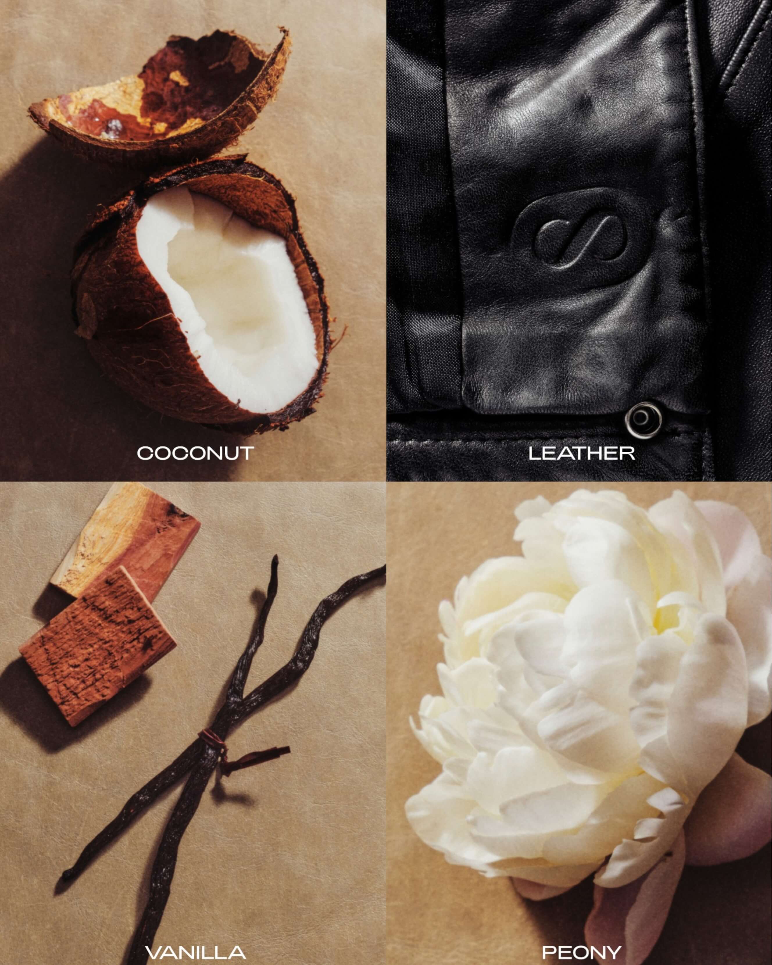 BRALESS: The Solid Perfume