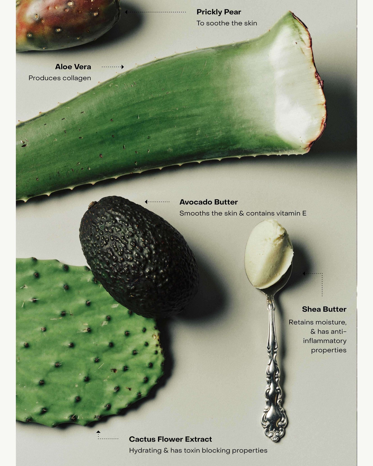 BRALESS: The Body Serum