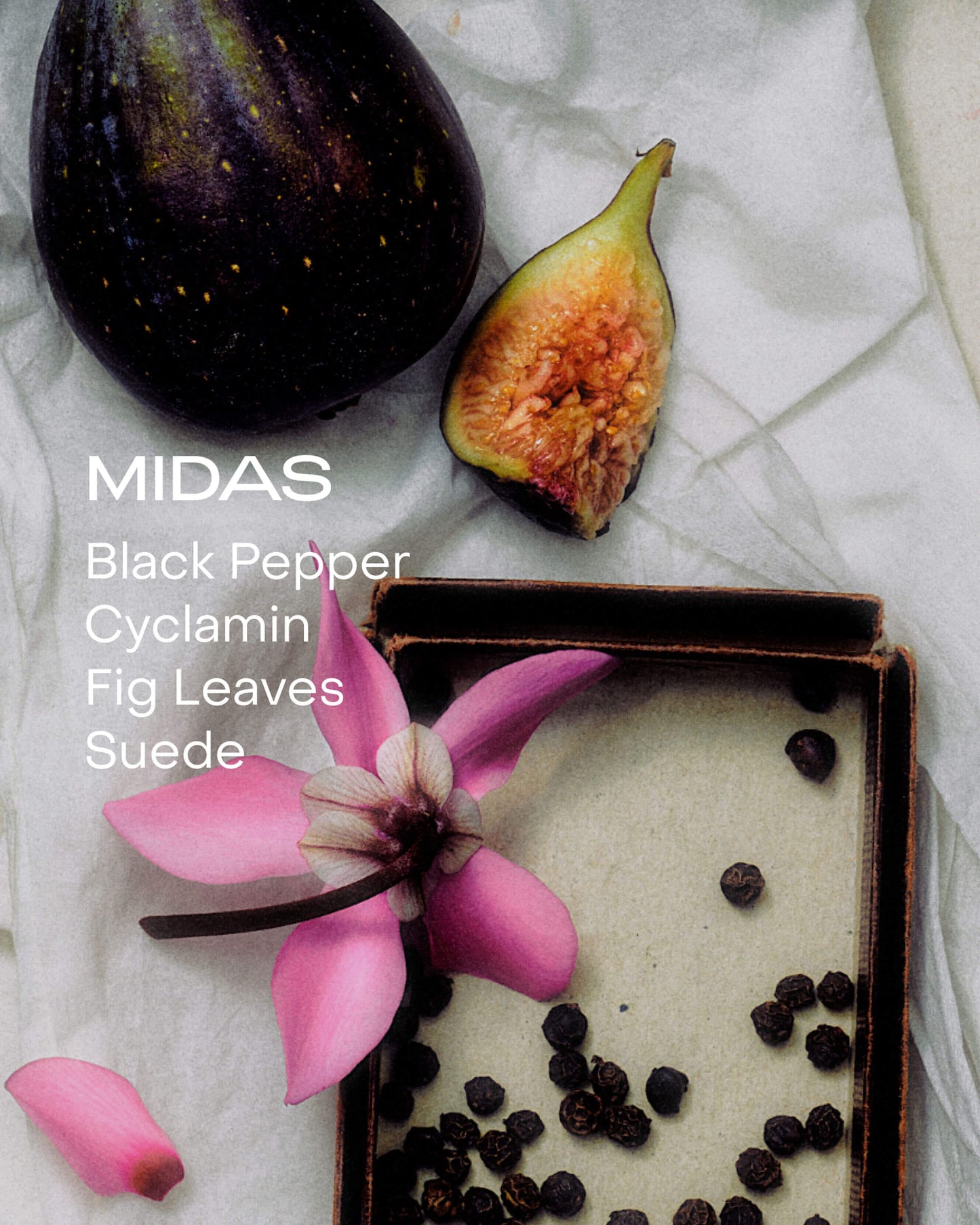 MIDAS: The Solid perfum