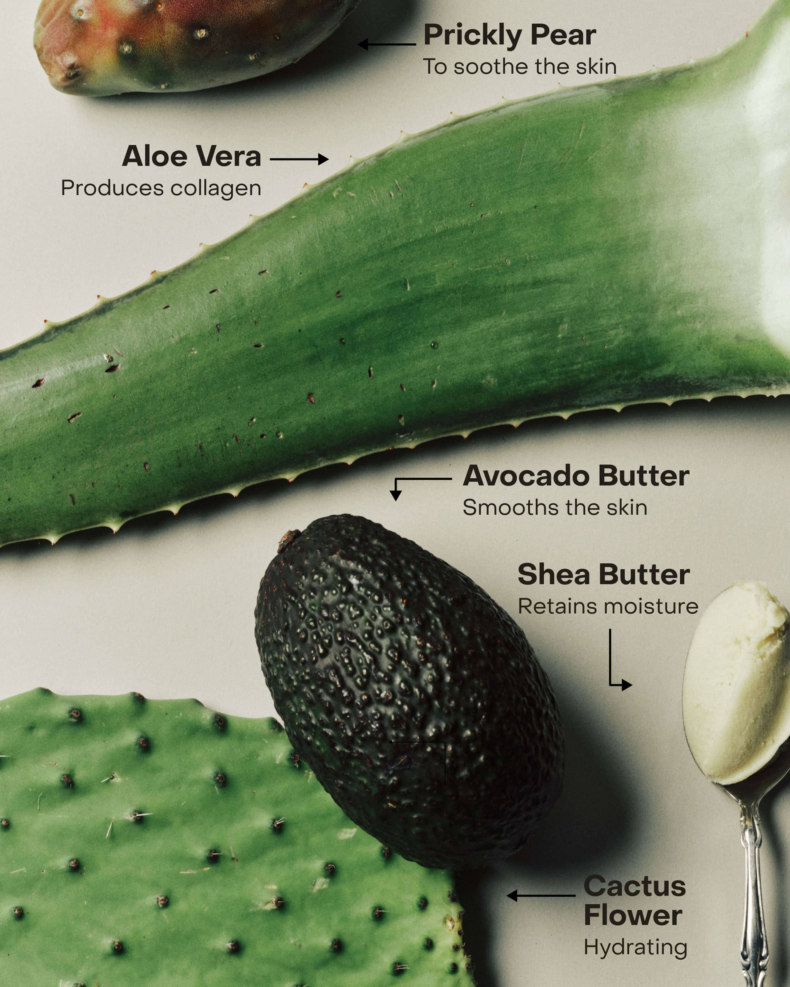 SOAKED: The Hand Exfoliant