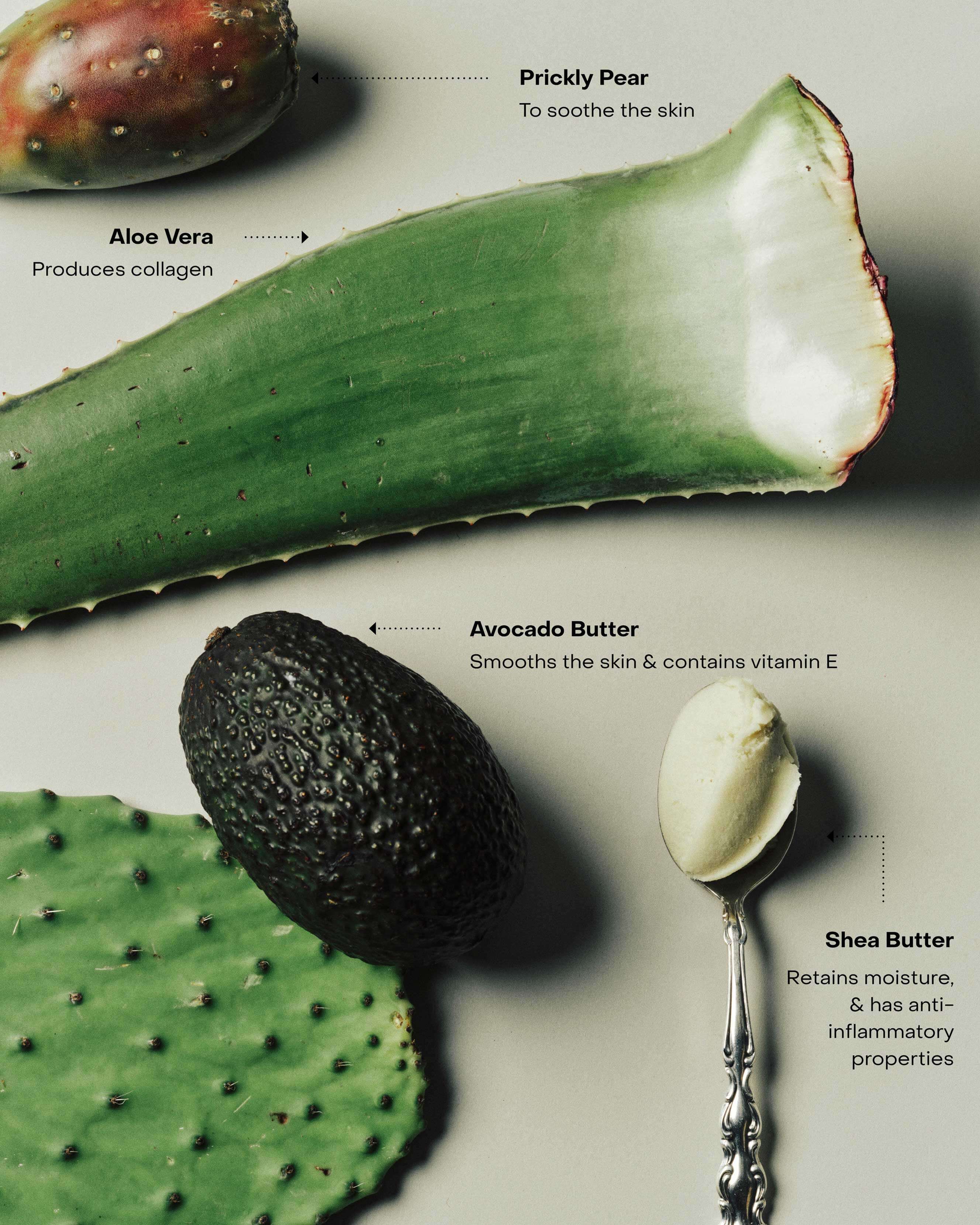 aloe vera plant at kroger SOAKED: The Hand & Body Cream – Credo