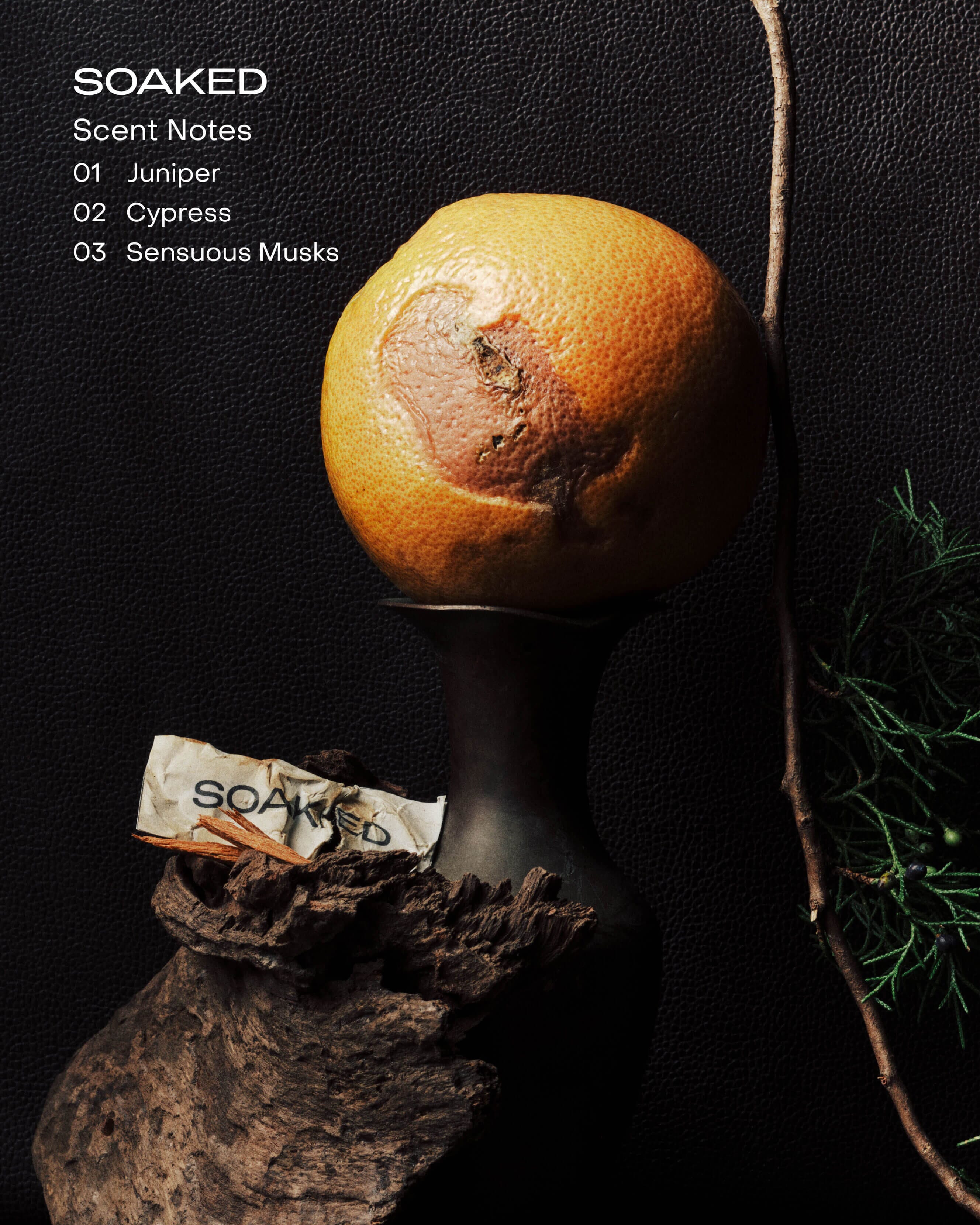 SOAKED: The Hand & Body Wash