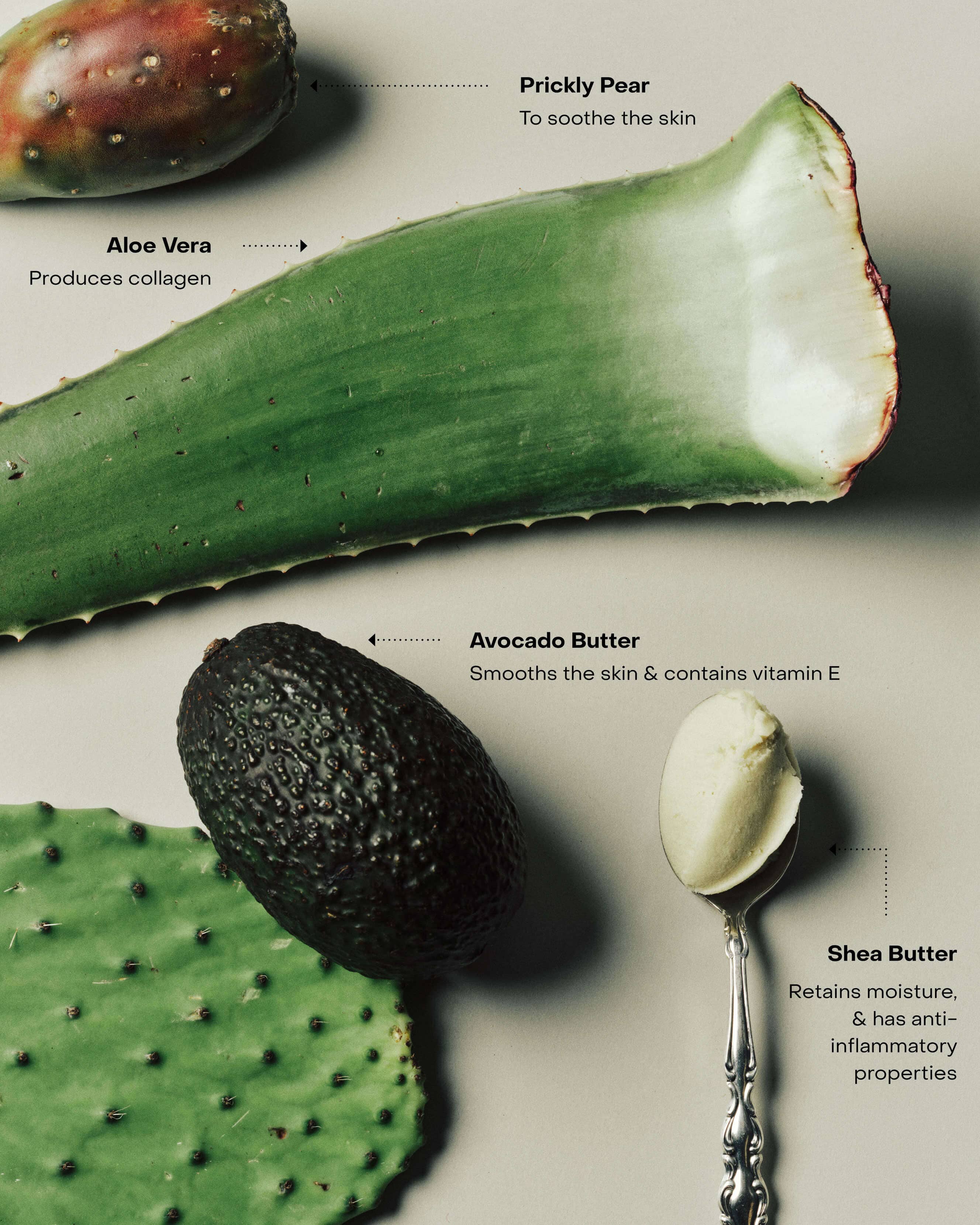 SOAKED: The Hand & Body Wash