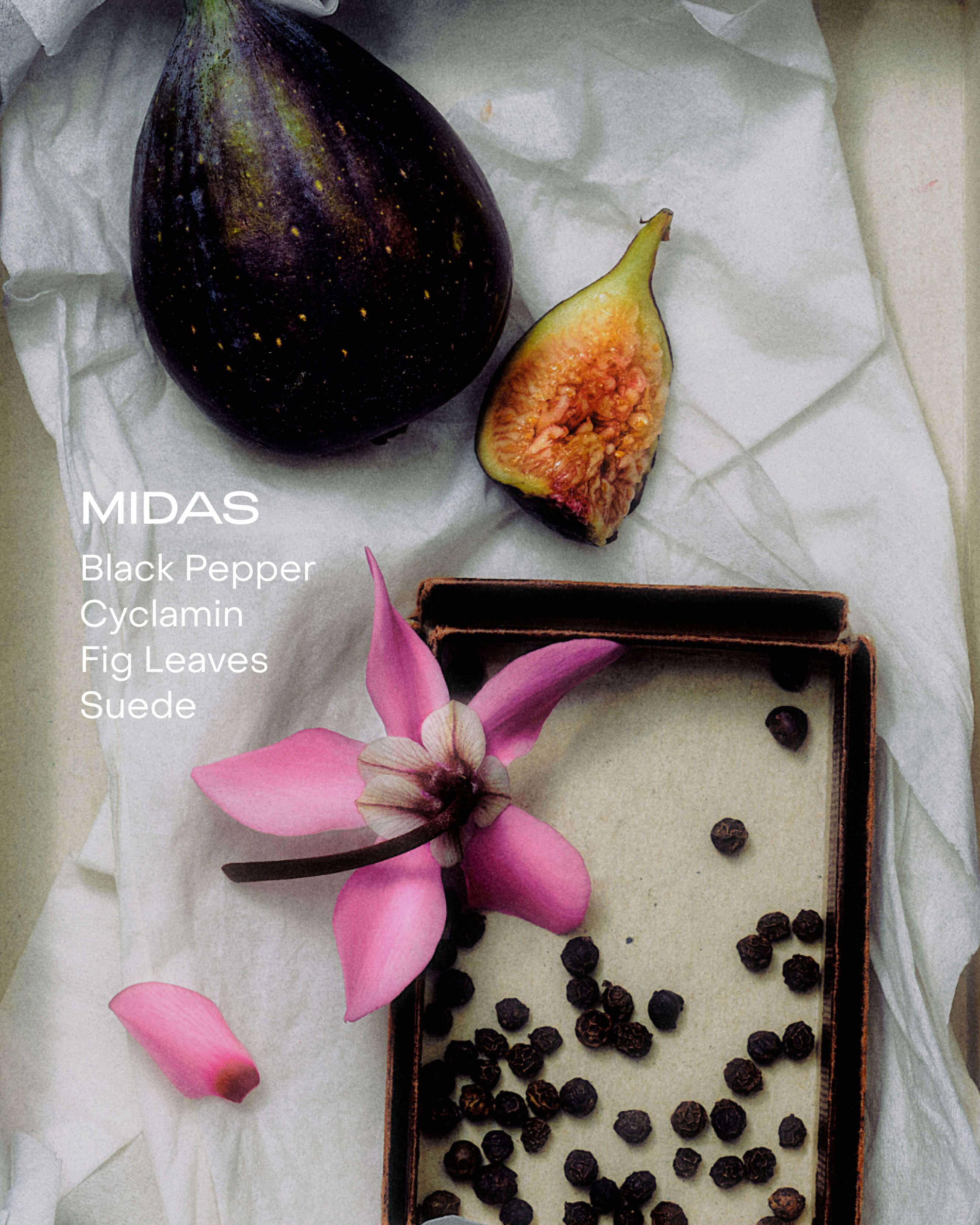 MIDAS - The Hand Serum