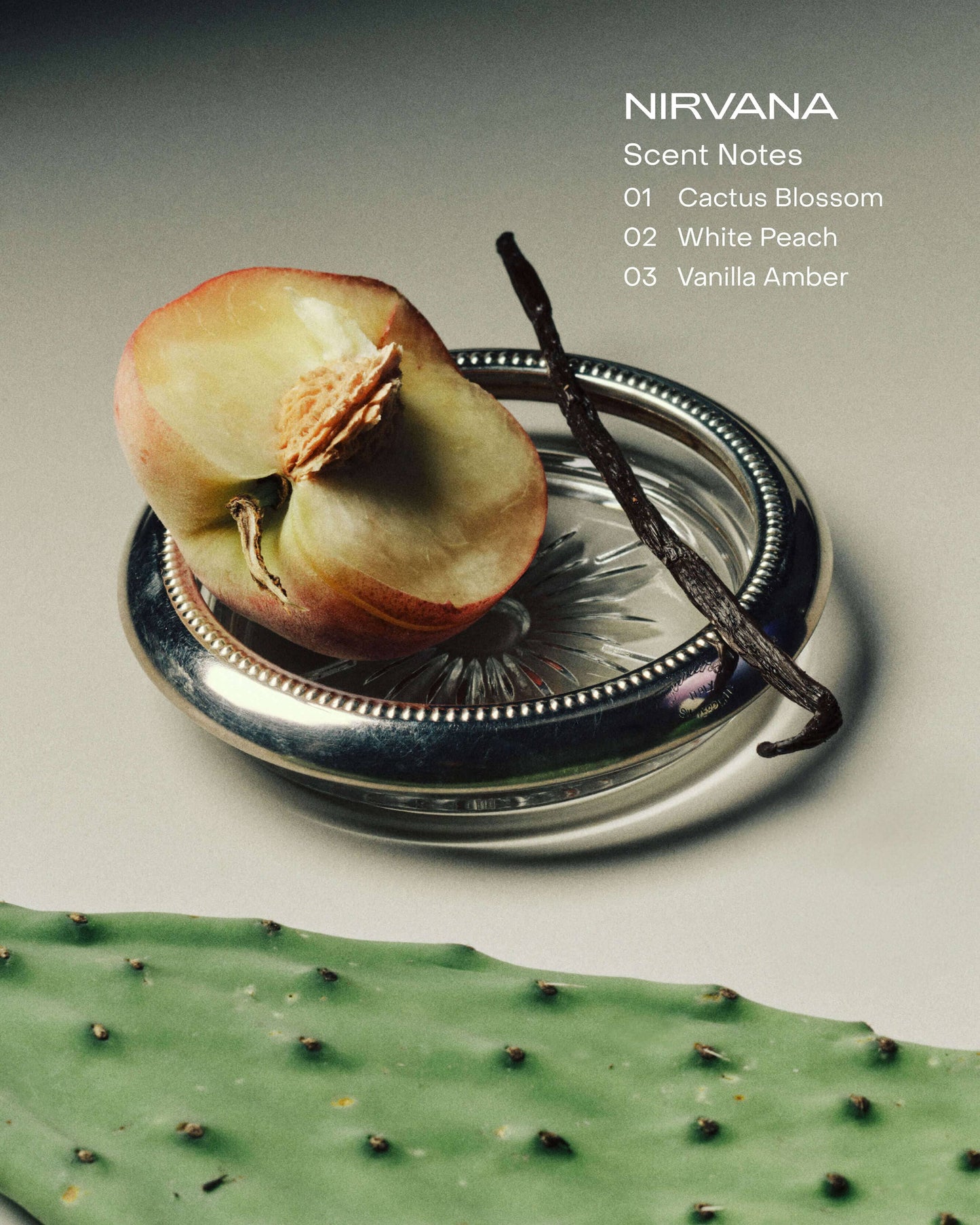 NIRVANA: The Hand Serum