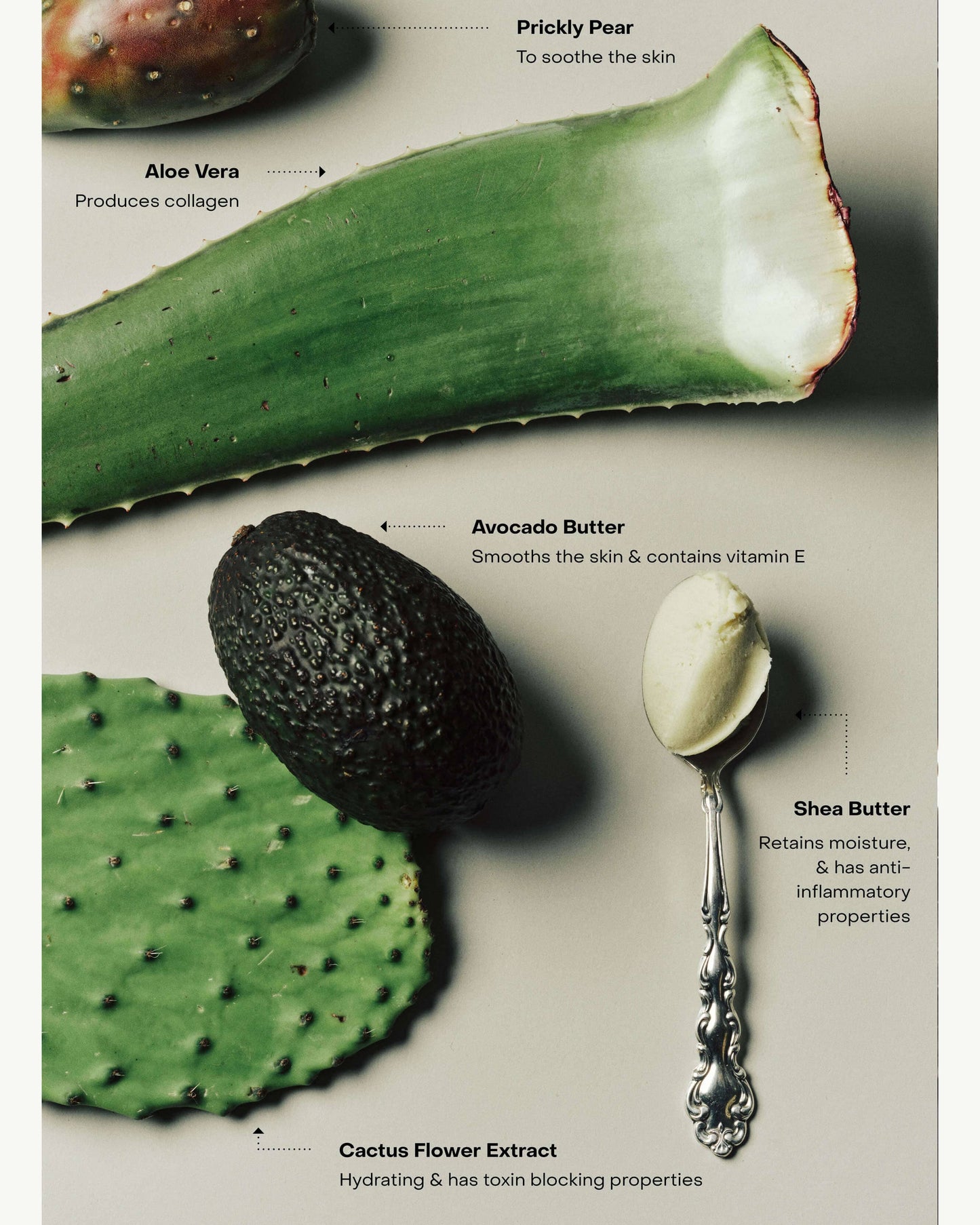 WIRED: The Body Exfoliant