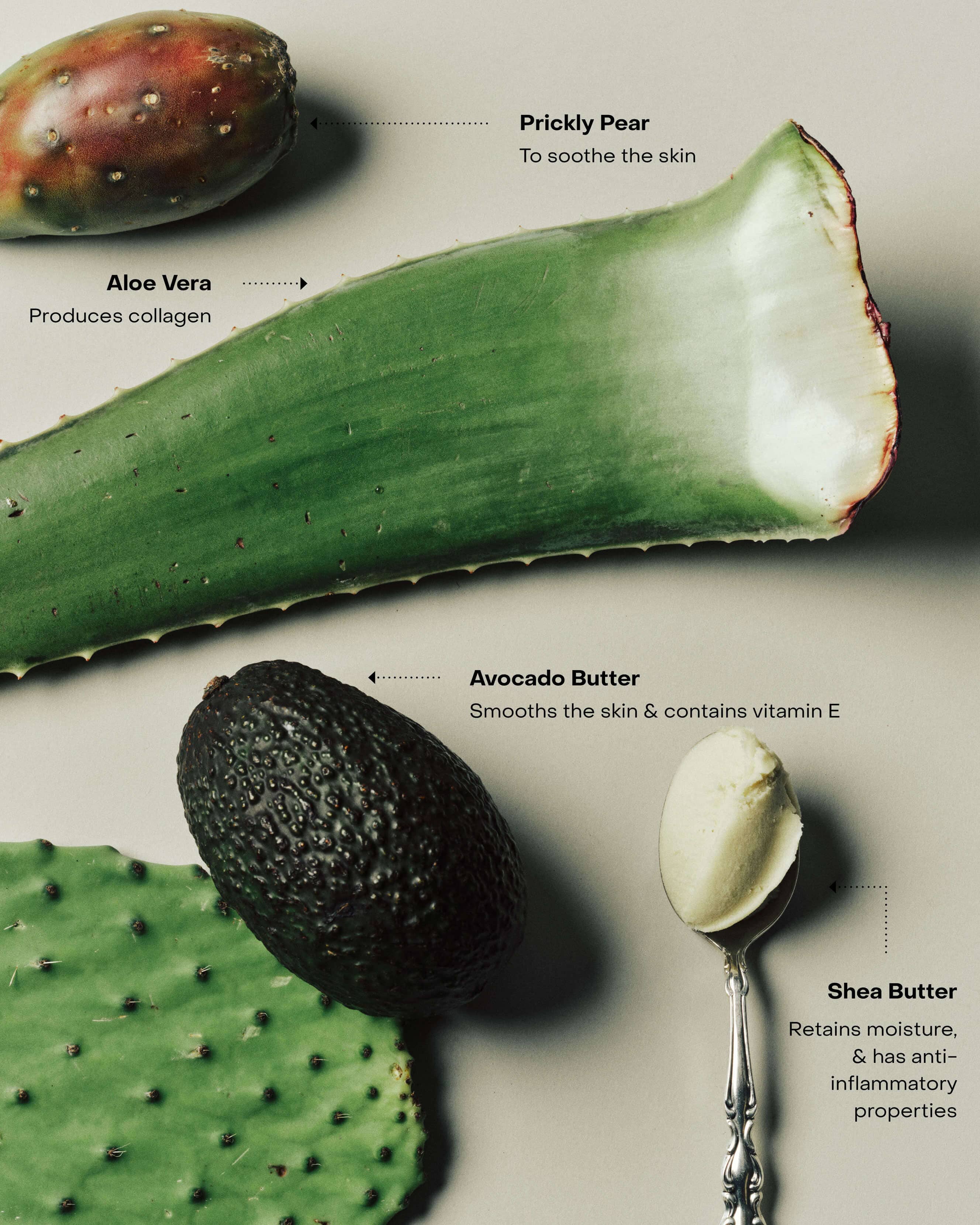 WIRED: The Body Serum