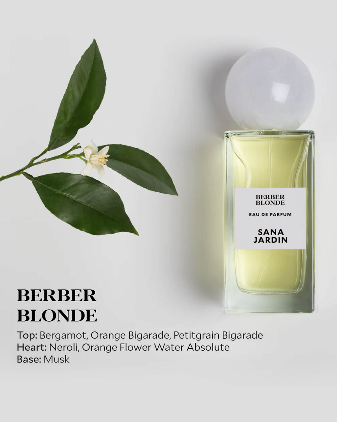 berberi parfum