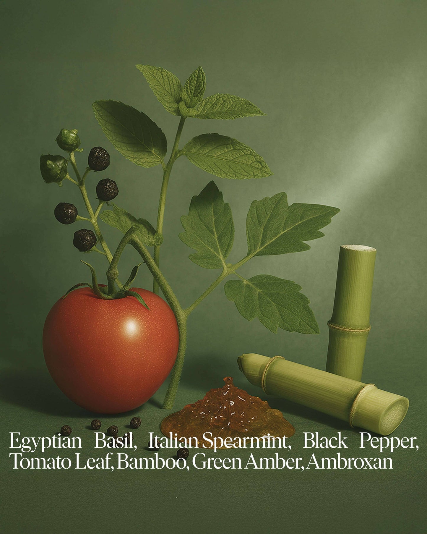 Forever Candle Farm Tomatoes