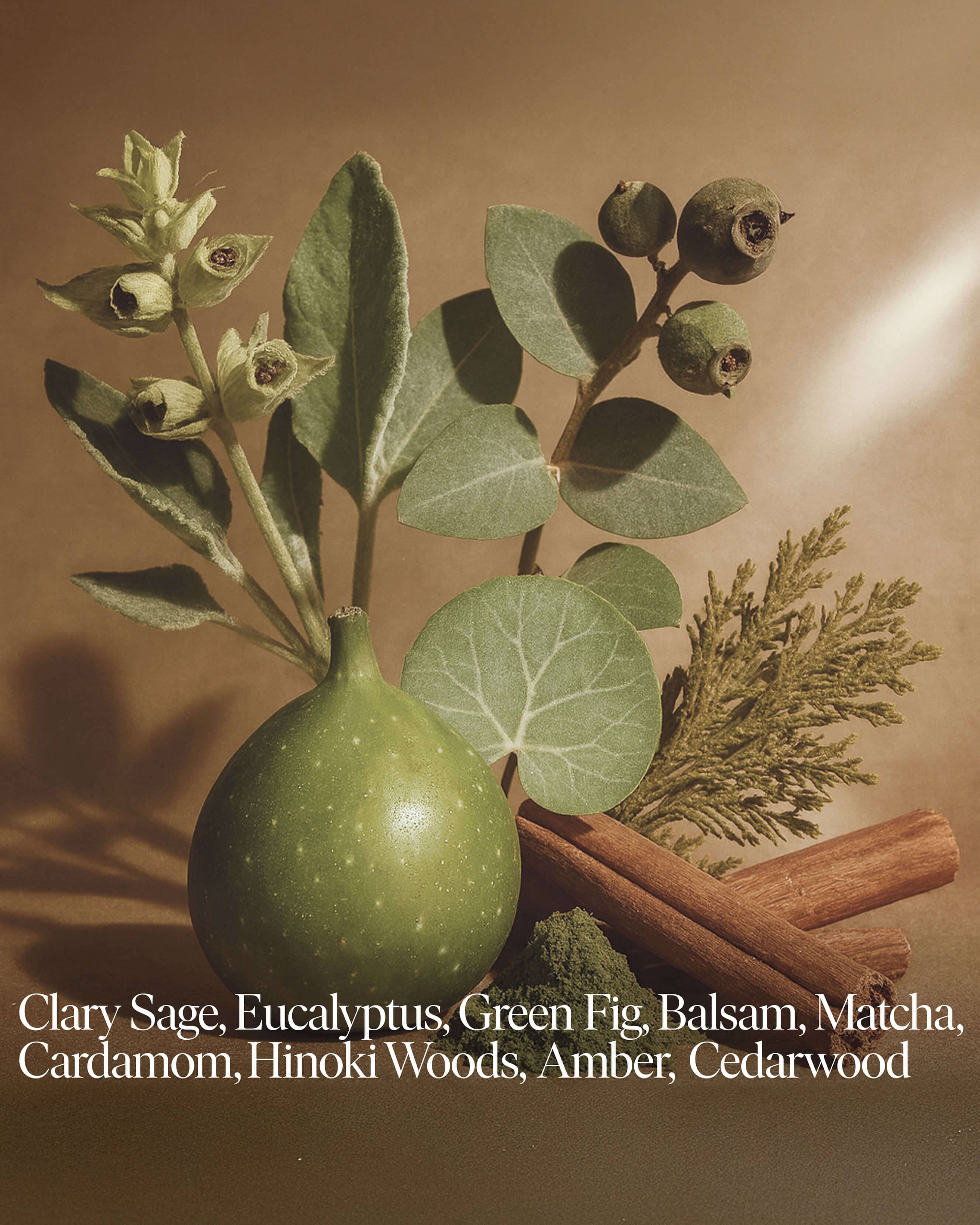 Forever Candle No 04 — Eucalyptus, Balsam, Wild Berries