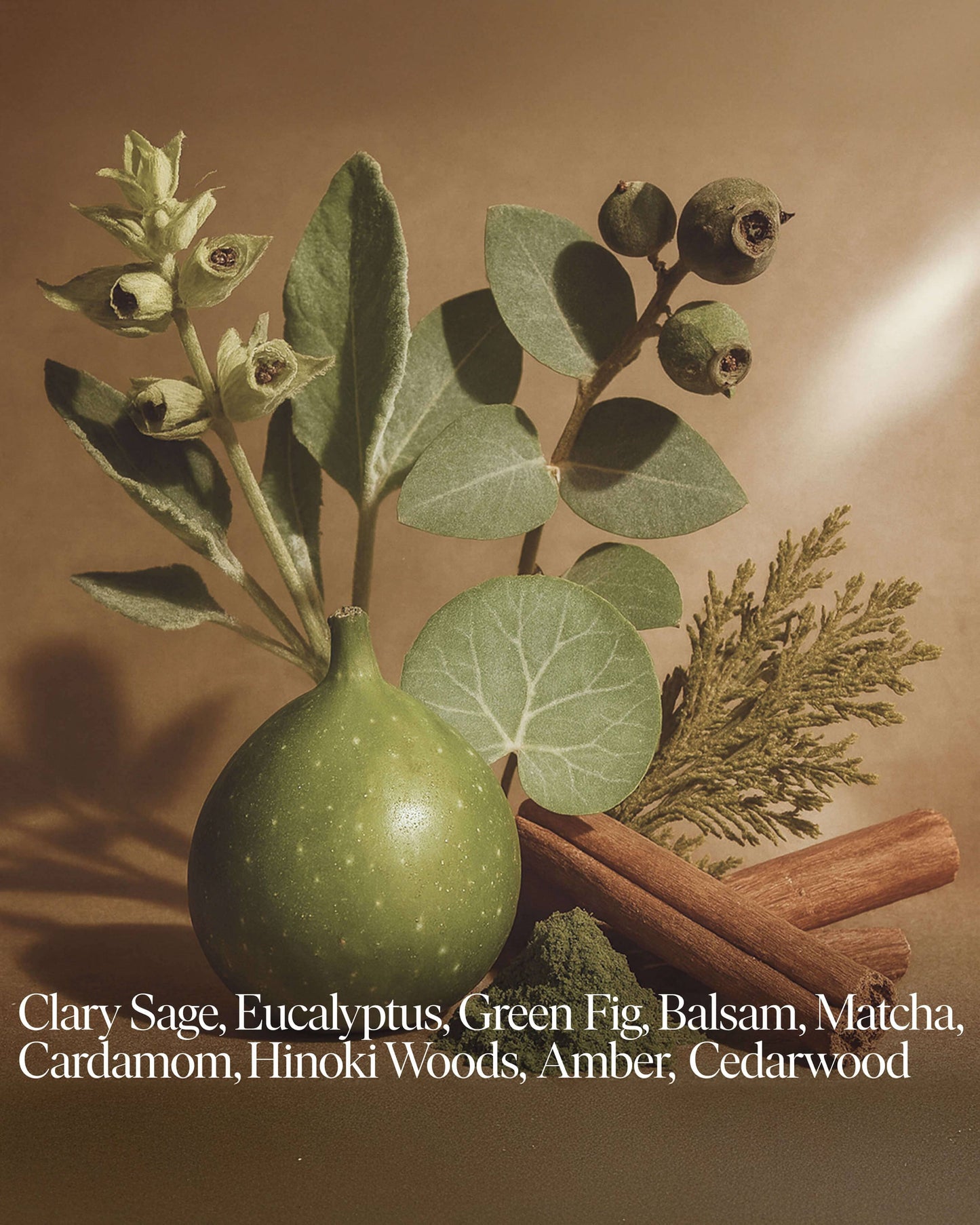 Forever Candle No 04 — Eucalyptus, Balsam, Wild Berries