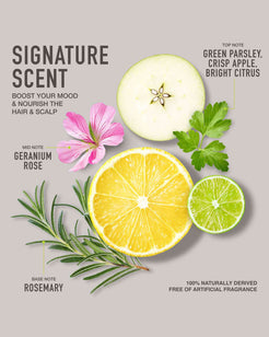 Holistic Benefits Leave-In Hair Serum