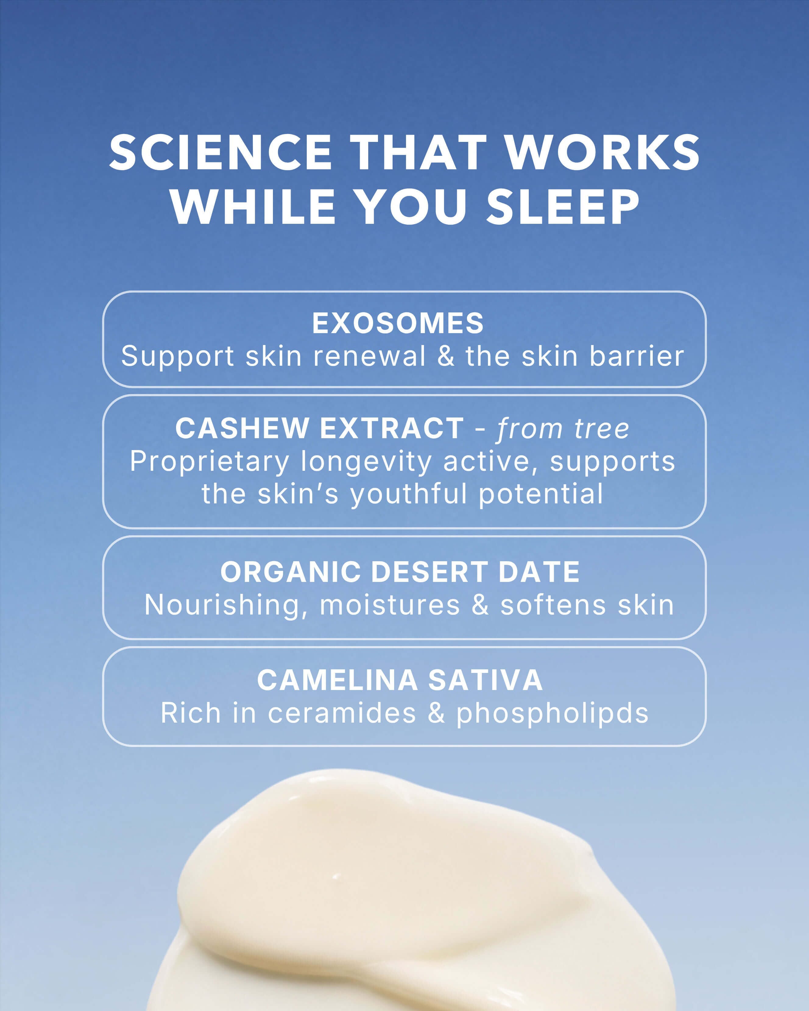 Exosome Advanced Night Cream