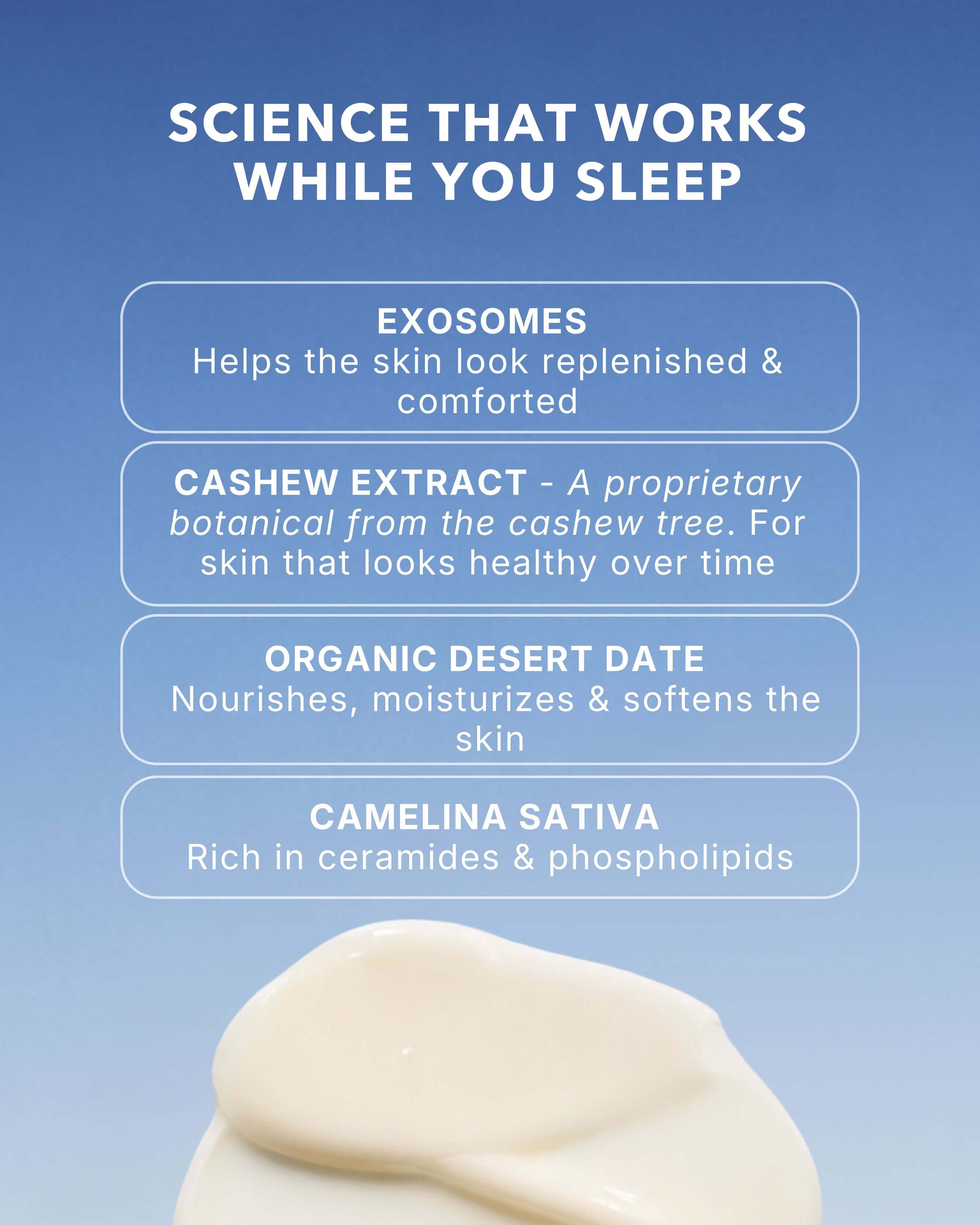 フェイスクリーム EXONINE DERMACODE NIGHT BOOST CREAM Exosome Advanced Night Cream – Credo
