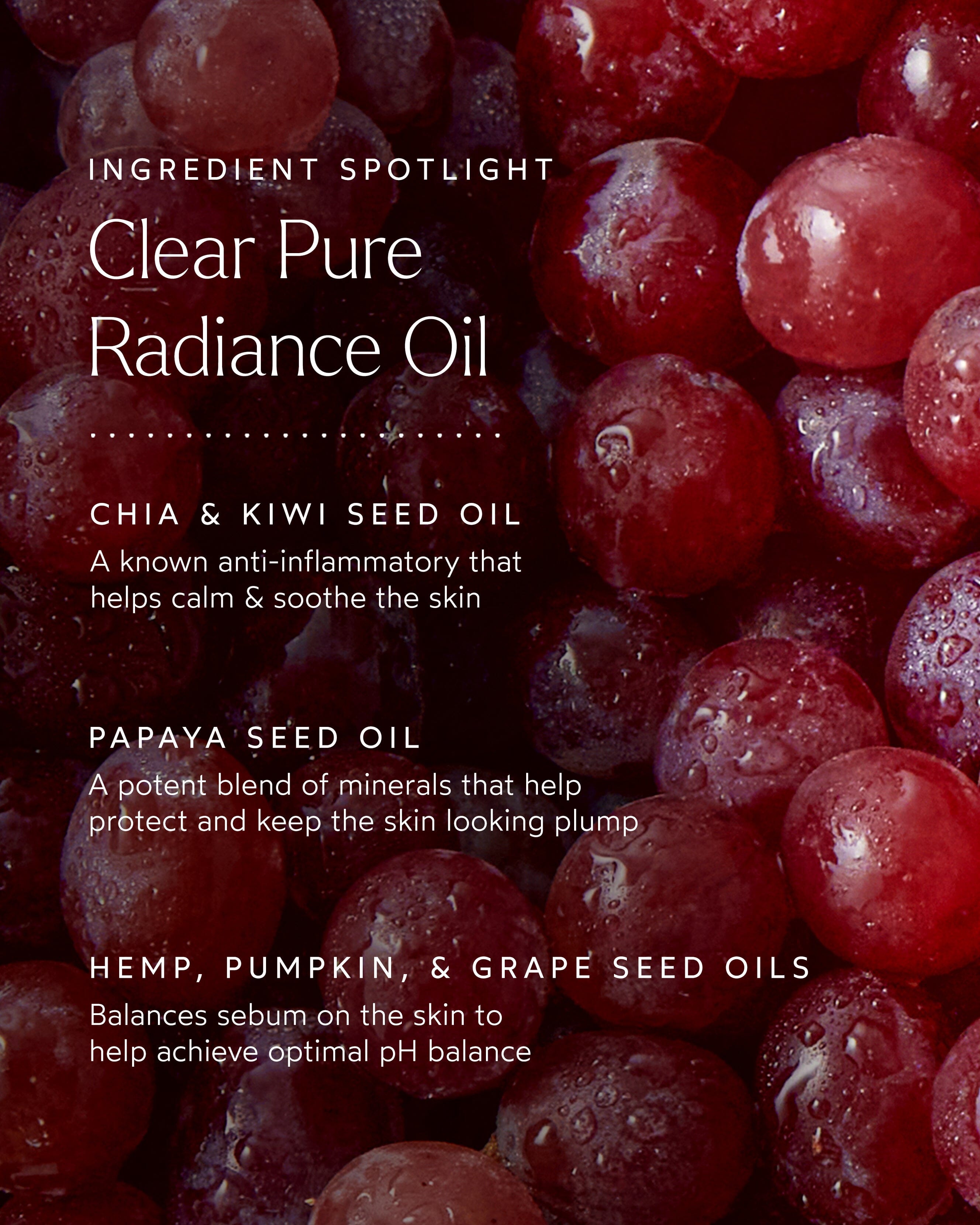 Clear Pure Radiance Oil – Credo