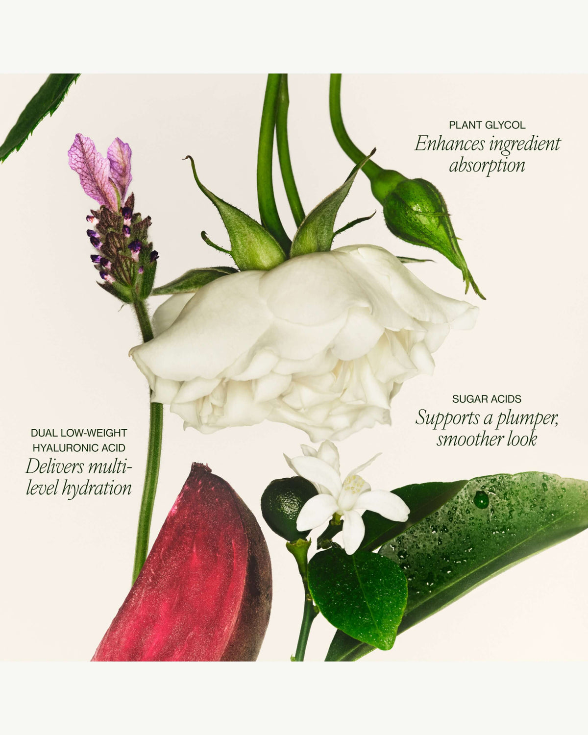 Hydrating Floral Essence