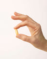 The Pause Nutrition MenoMulti