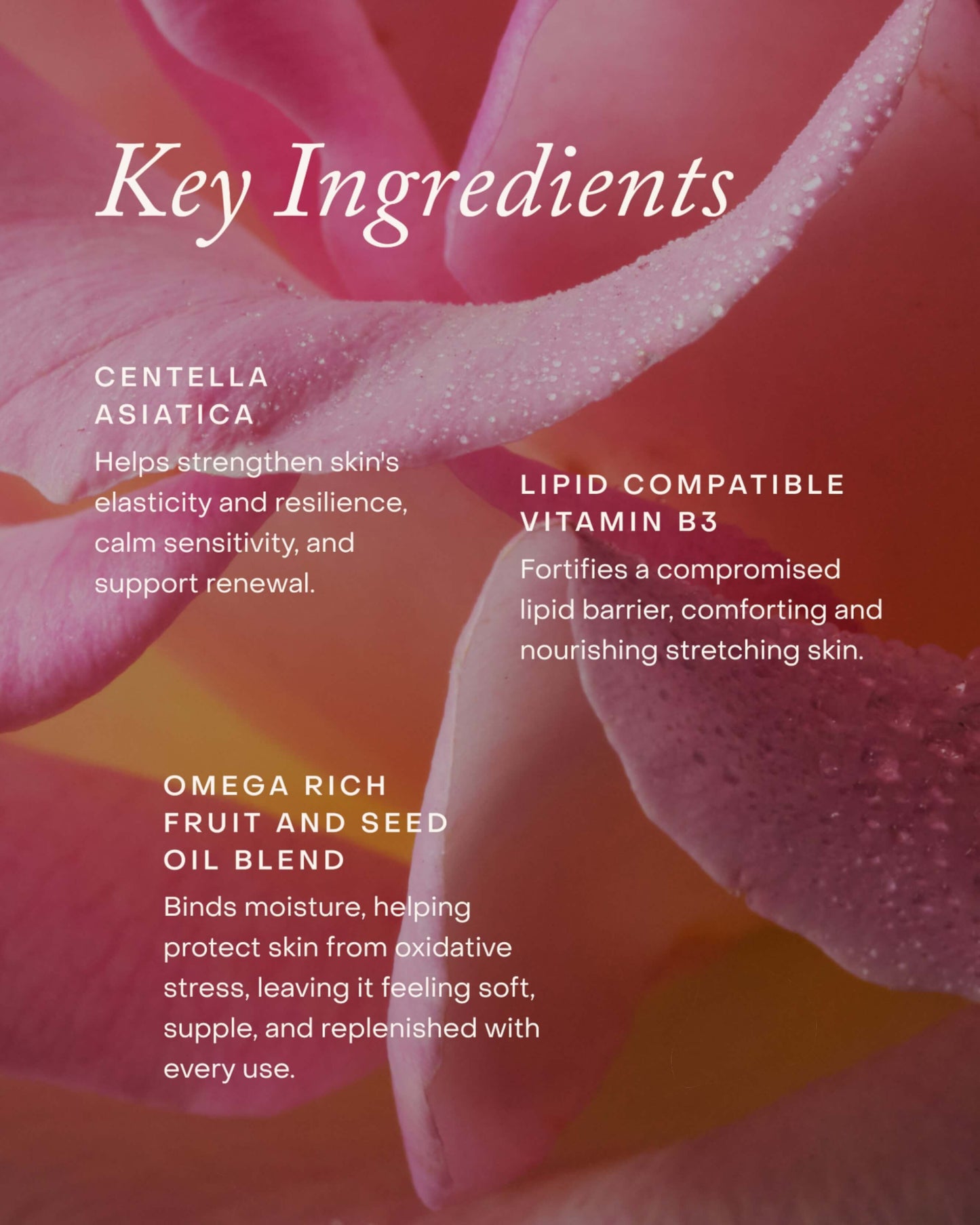 Mindful Mama Belly & Body Oil