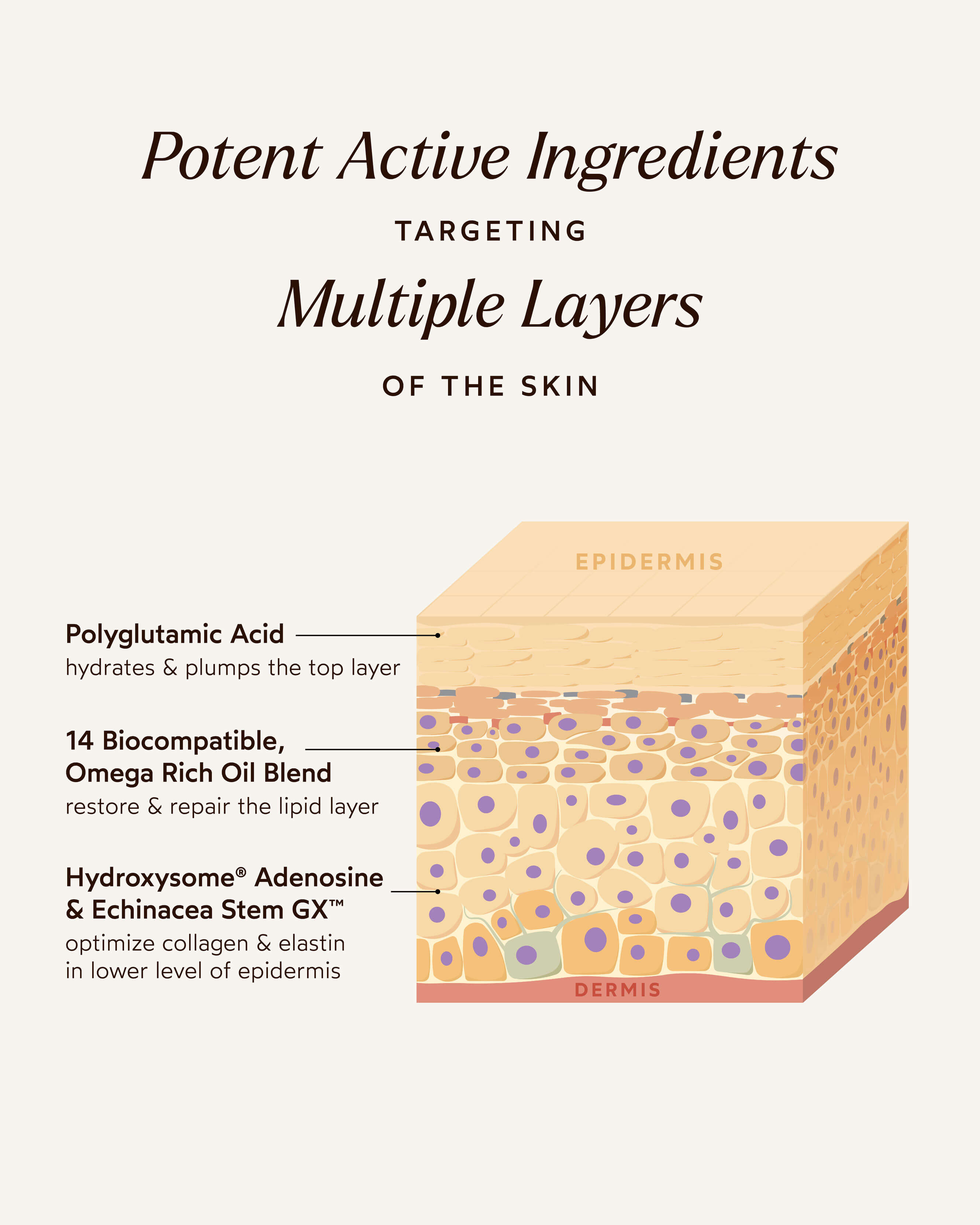 Pure Radiance Supreme Eye Cream