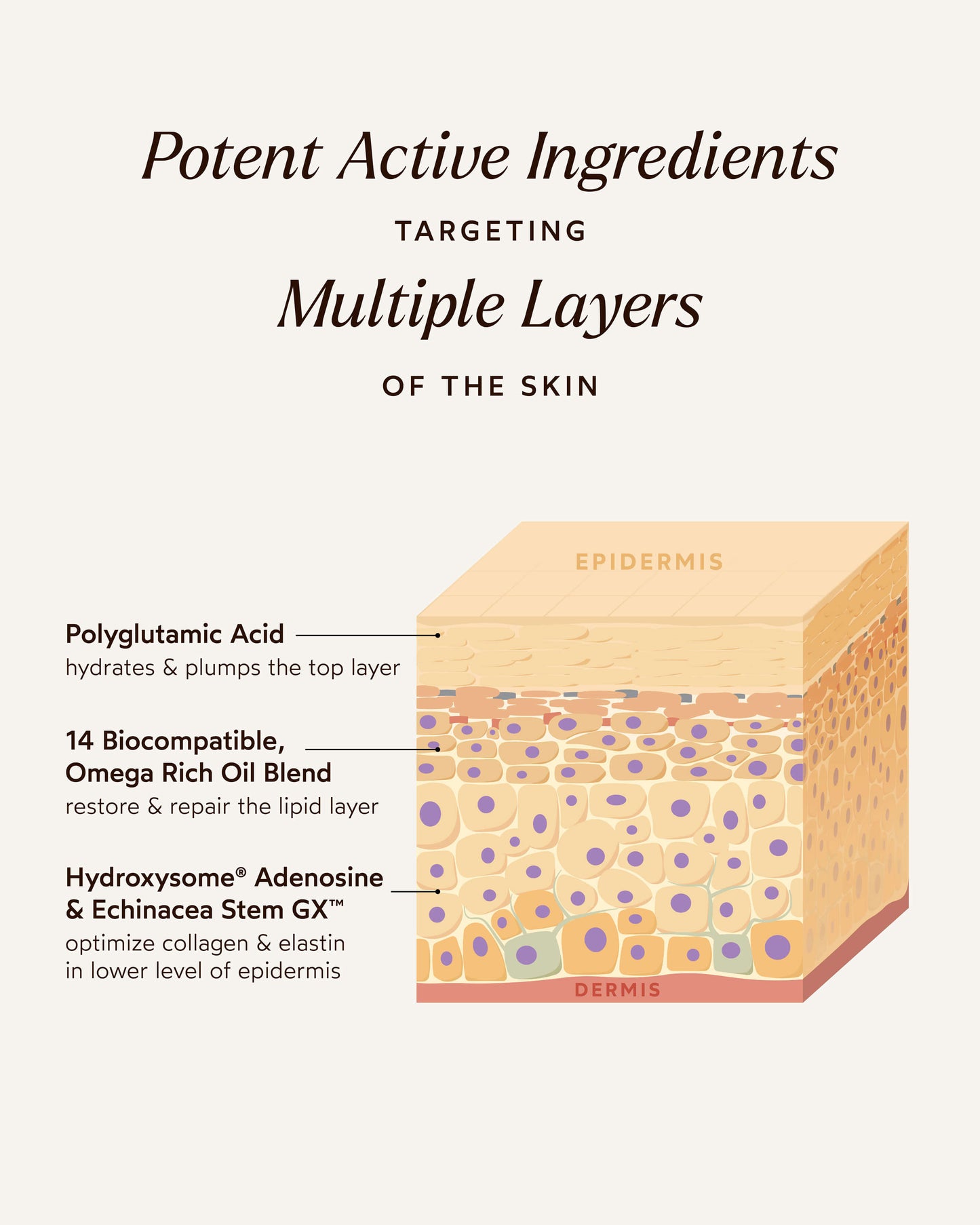 Pure Radiance Supreme Eye Cream