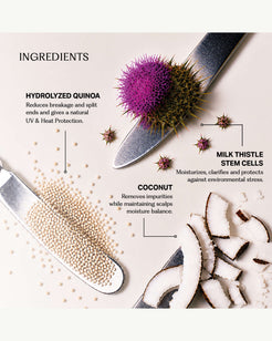 Clean Conditioner