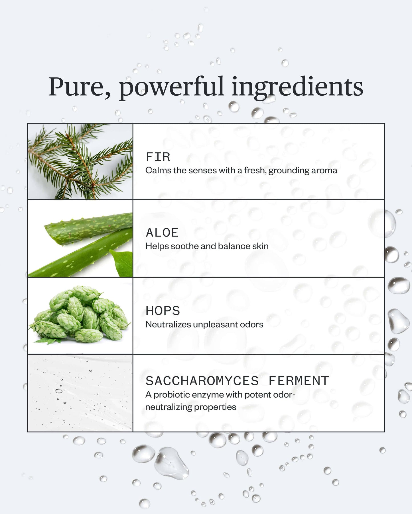 Forest Fix Spray Deodorant