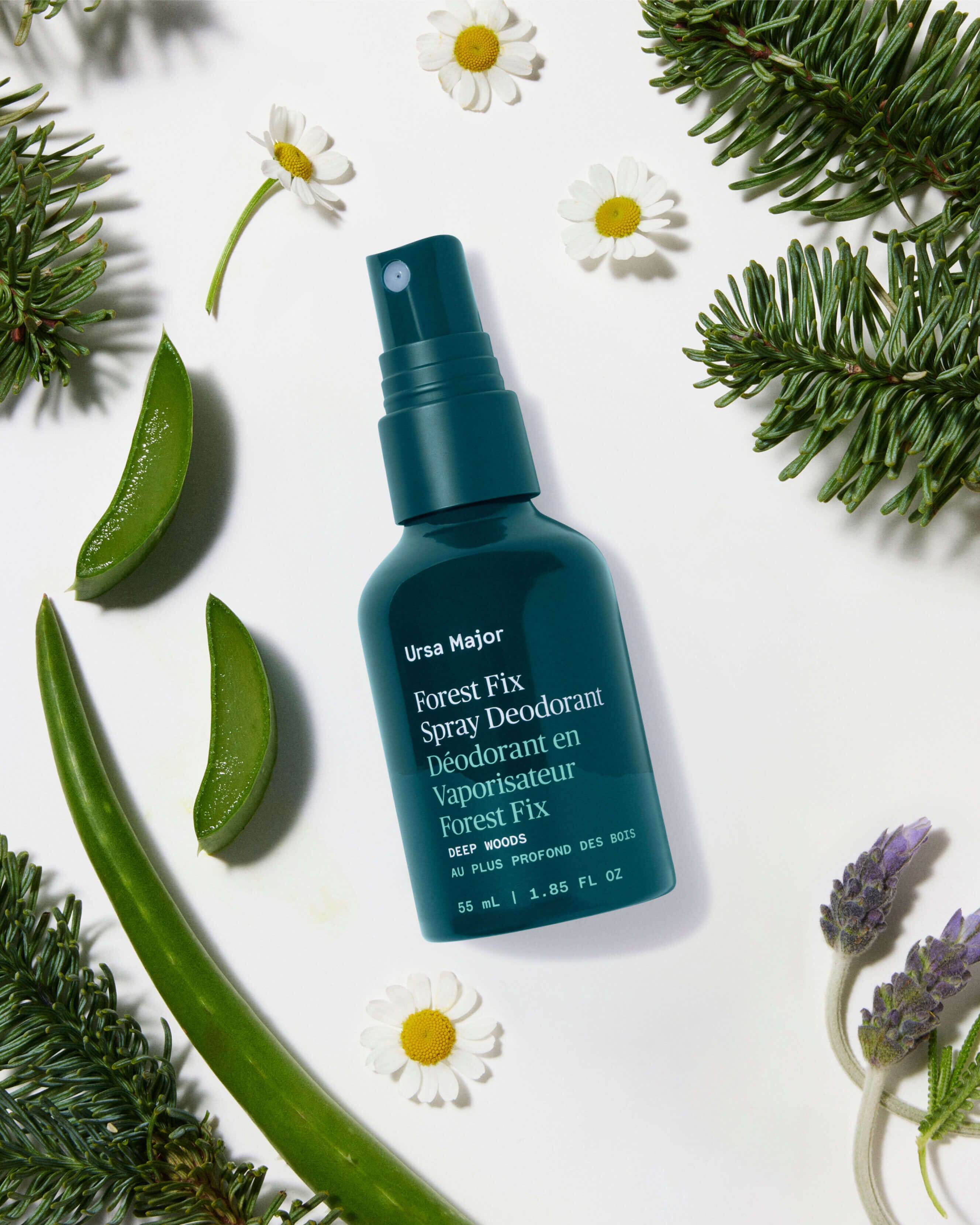 Forest Fix Spray Deodorant