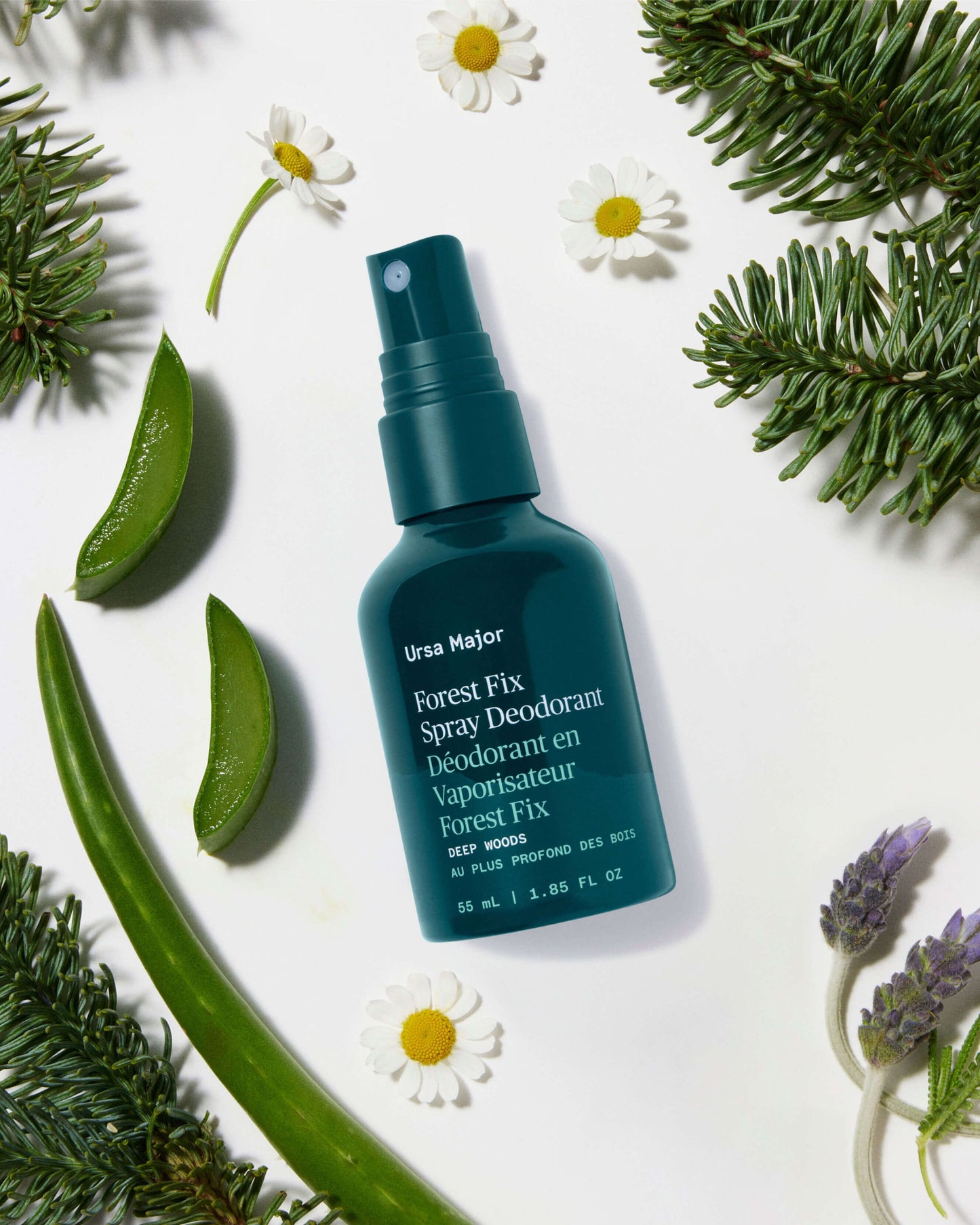 Forest Fix Spray Deodorant