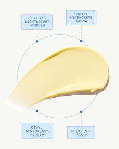 Golden Hour Recovery Cream Daily Face Moisturizer
