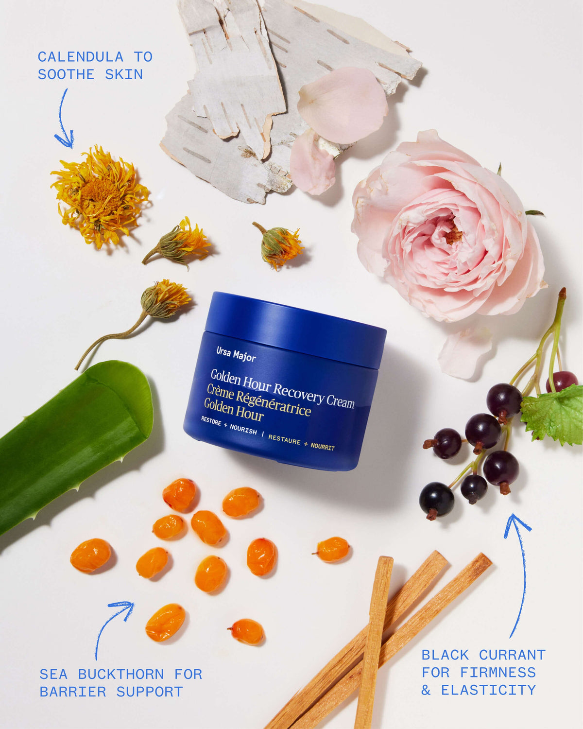 Golden Hour Recovery Cream Daily Face Moisturizer