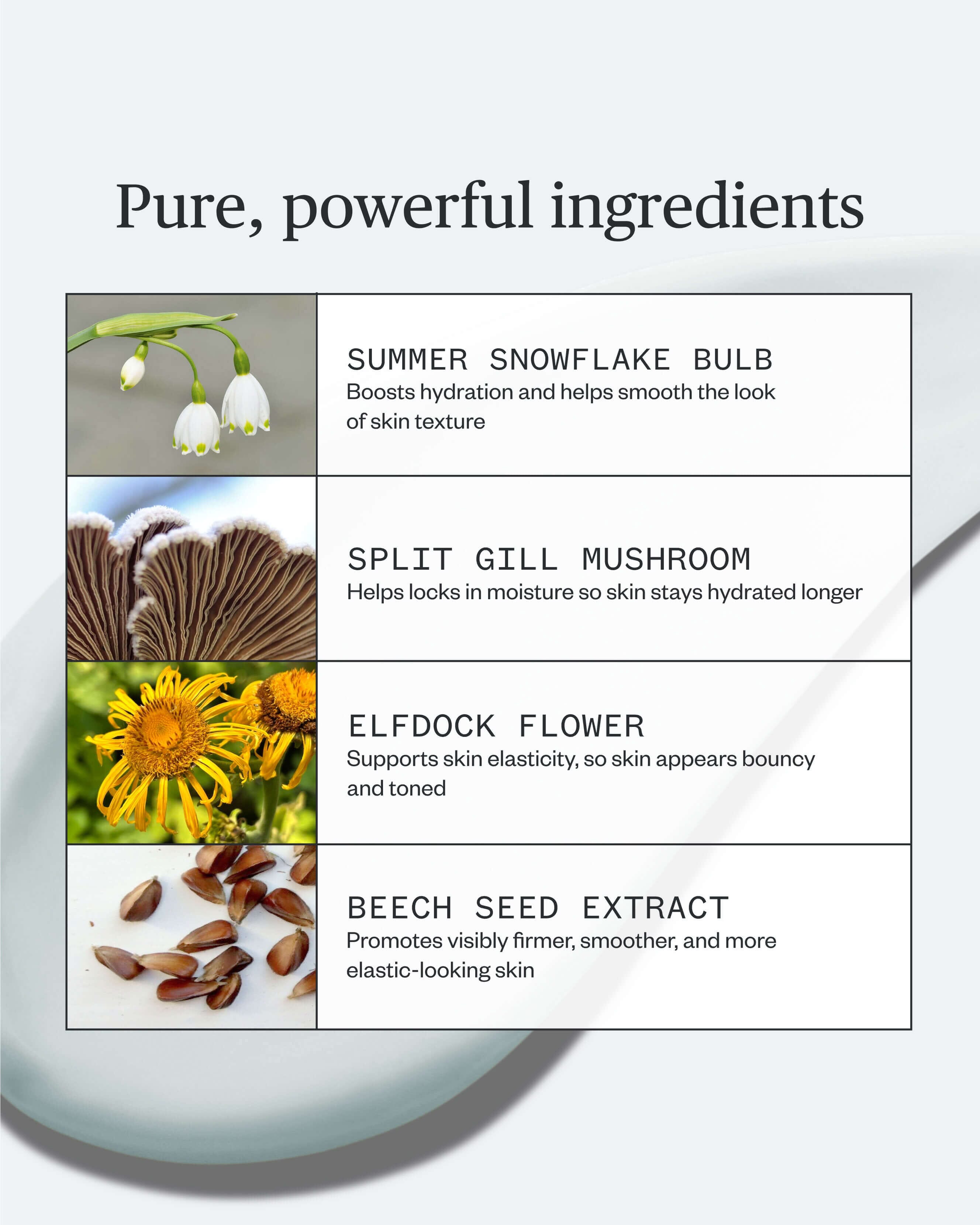 Vital Spring Hydration Mask