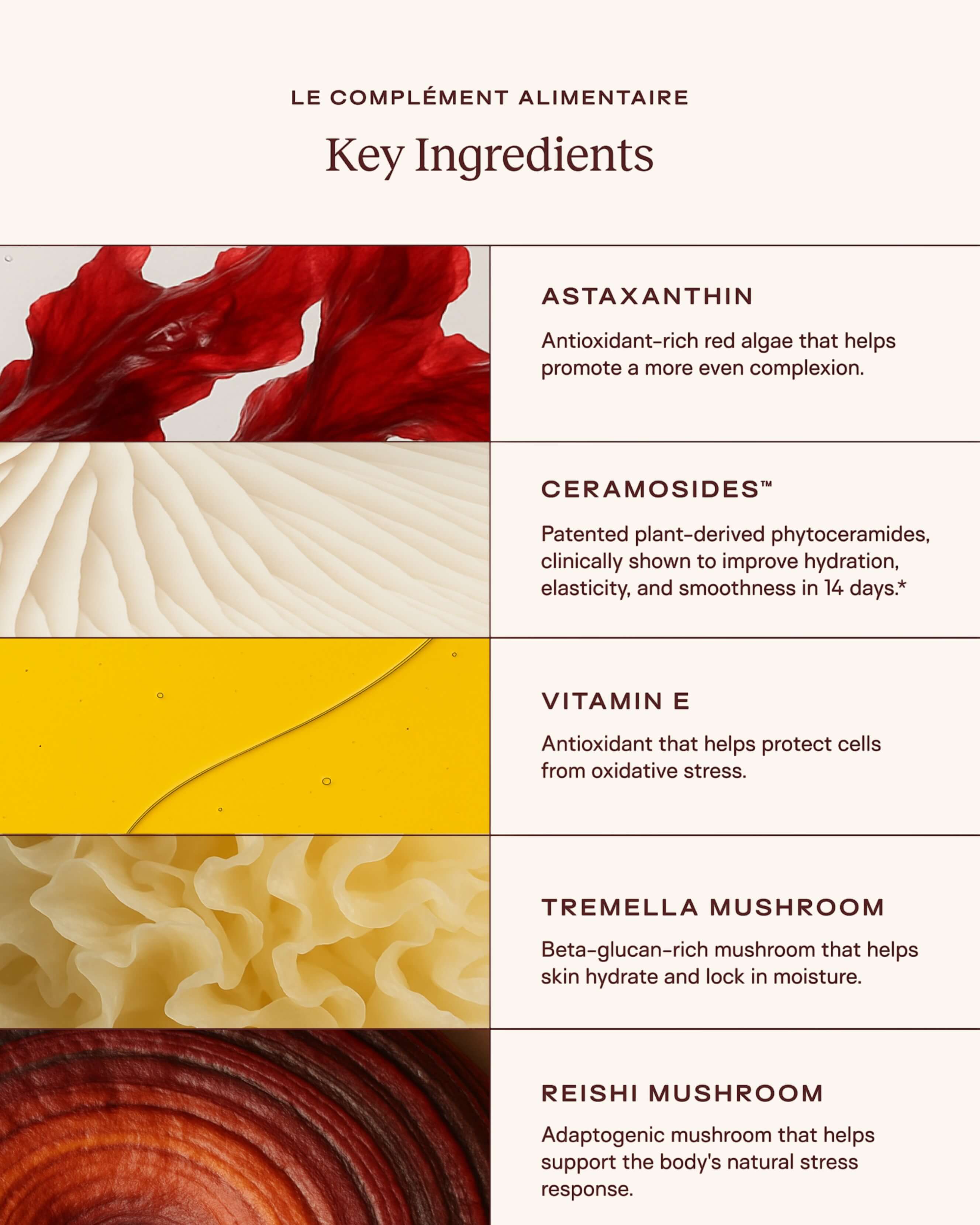 Le Complément Alimentaire – Ceramide-Rich Skin Supplement