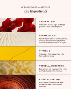 Le Complément Alimentaire – Ceramide-Rich Skin Supplement