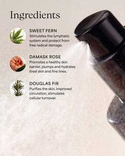 Empress Sweetfern Hydrasoothe Face Mist