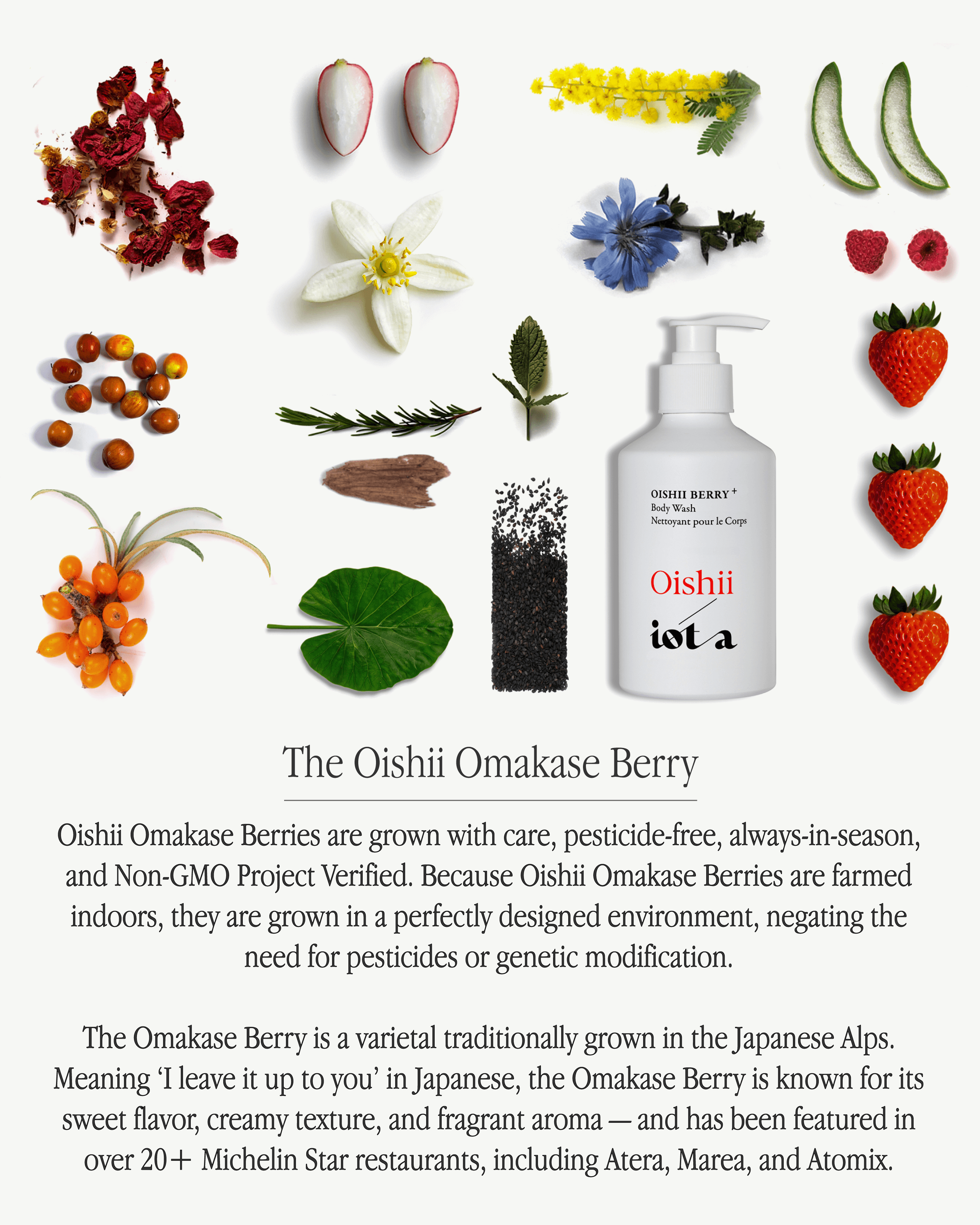 Scarface porno onlayn Video ruscha jinsiy aloqa bilan jinsiy aloqa